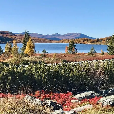 Flaksjoen Сasa de vacaciones Venabygd