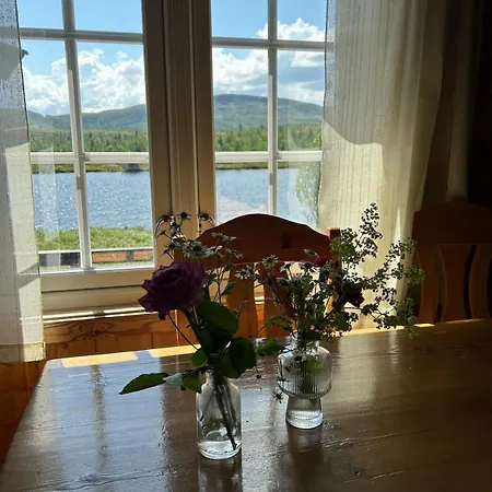 Flaksjoen Сasa de vacaciones Venabygd