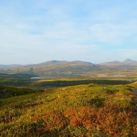 Flaksjoen Сasa de vacaciones *