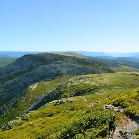 Сasa de vacaciones Flaksjoen Venabygd