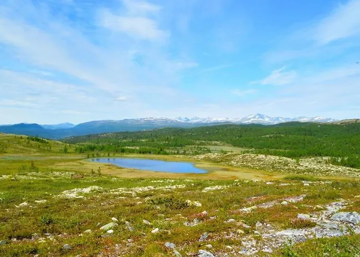 Semesterbostad Flaksjoen Venabygd