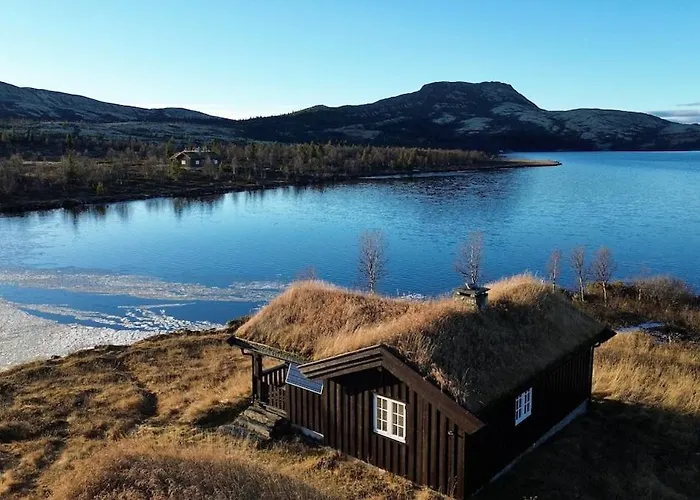 Semesterbostad Flaksjoen Venabygd