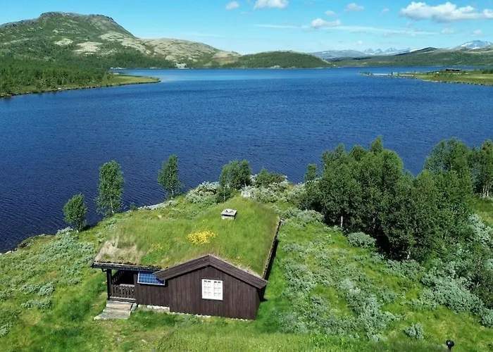 Semesterbostad Flaksjoen Venabygd