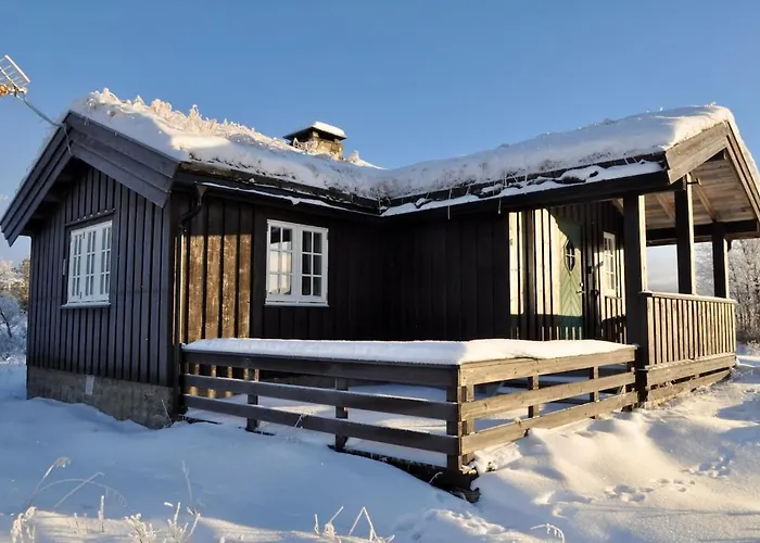 Flaksjoen