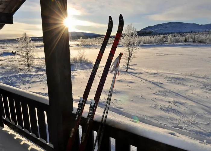 Semesterbostad Flaksjoen