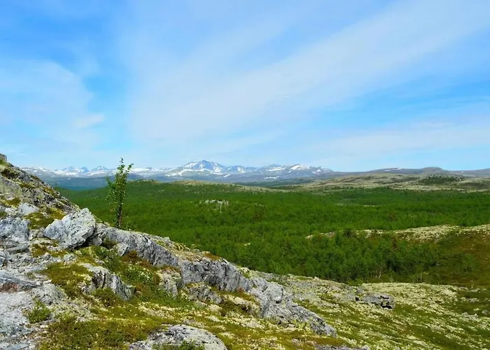 Flaksjoen *