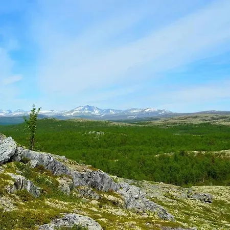 Flaksjoen *